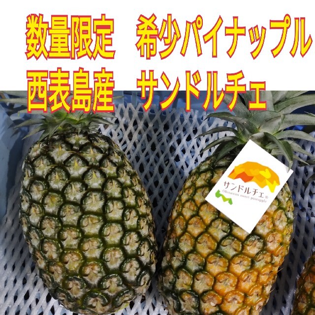 cocojewel　様専用 食品/飲料/酒の食品(フルーツ)の商品写真