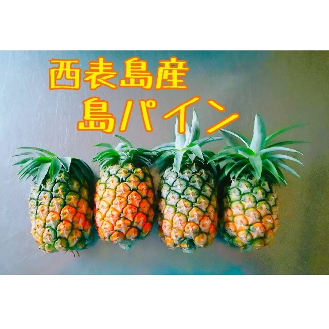 cocojewel　様専用 食品/飲料/酒の食品(フルーツ)の商品写真