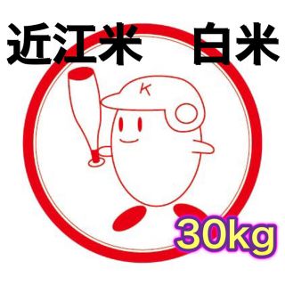 【送料無料】近江のお米　30kg（10kg×3本）