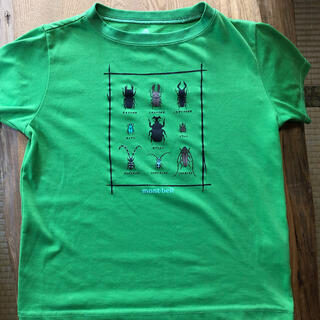 モンベル(mont bell)のモンベル　昆虫Tシャツ　130(Tシャツ/カットソー)