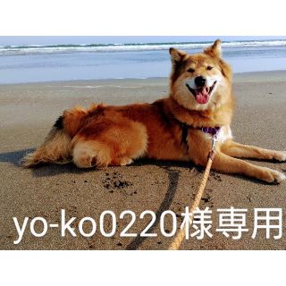 ララウォーク 歩行補助ハーネス(犬)