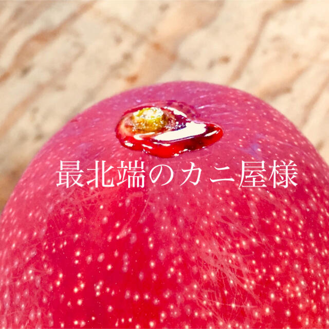 宮崎県産 完熟マンゴー 自家用 4kg 食品/飲料/酒の食品(フルーツ)の商品写真