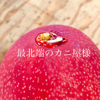 宮崎県産 完熟マンゴー 自家用 4kg(フルーツ)