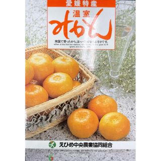 光味センサー選別済み！！愛媛県産【ハウスみかん】赤秀品 Sサイズ 約