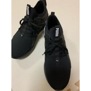 プーマ(PUMA)の靴(puma)24.5㎝(スニーカー)