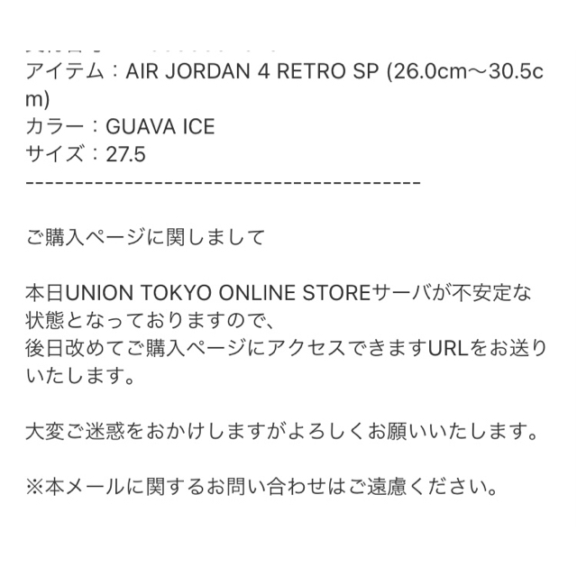 NIKE(ナイキ)のUNION × NIKE AIR JORDAN 4 "GUAVA" 27.5cm メンズの靴/シューズ(スニーカー)の商品写真
