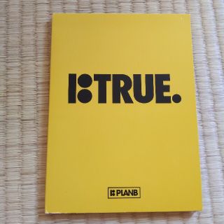 プランビー(PlanB)のBTRUE. スケートビデオ　DVD(スケートボード)