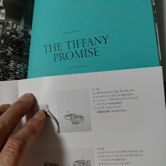 Tiffany & Co.(ティファニー)のカタログ エンタメ/ホビーの雑誌(ファッション)の商品写真