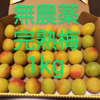 白加賀＊完熟梅＊１kg(フルーツ)