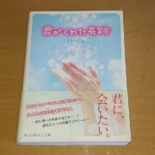 君がくれた奇跡(文学/小説)