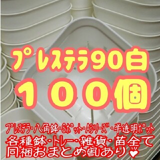 【スリット鉢】プレステラ90白100個 多肉植物 プラ鉢(プランター)