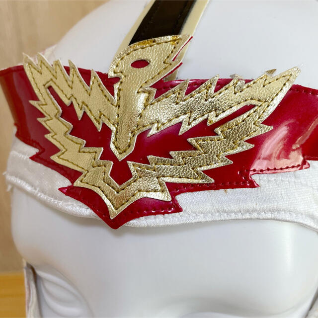 プロレス ハヤブサ マスク FMW 新日本プロレス 全日本プロレス 獣神