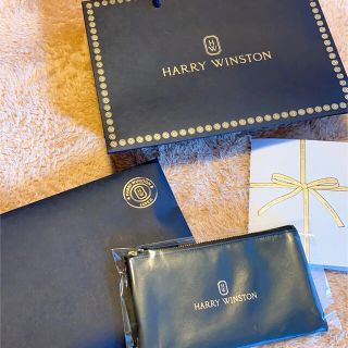 ハリーウィンストン(HARRY WINSTON)のハリーウィンストン　ポーチ(ポーチ)