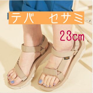 テバ(Teva)のテバ　ハリケーン　セサミ　23cm 新品未使用！(サンダル)