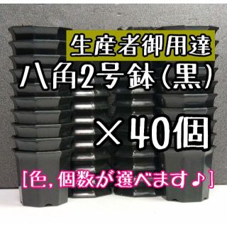 八角鉢 ◎40個◎  ブラック 2号 2寸 プラ鉢 ミニ鉢 シャトル(プランター)