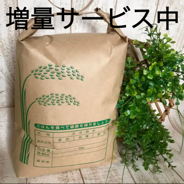 冷めても美味しい　ひとめぼれ　大分県産 食品/飲料/酒の食品(米/穀物)の商品写真