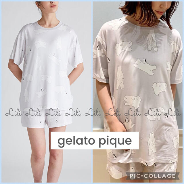 gelato  pique 今期新作⭐︎シロクマモチーフTシャツ&ショートパンツ