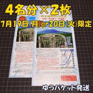 富士急ハイランド 株主特別内覧会招待券２枚(４名分×２)◆富士急 株主優待(遊園地/テーマパーク)