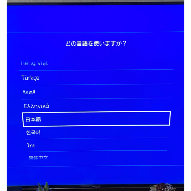 SONY PlayStation4 本体 CUH-2100AB01