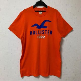 ホリスター(Hollister)のHOLLISTER   Tシャツ (L) ホリスター(Tシャツ(半袖/袖なし))