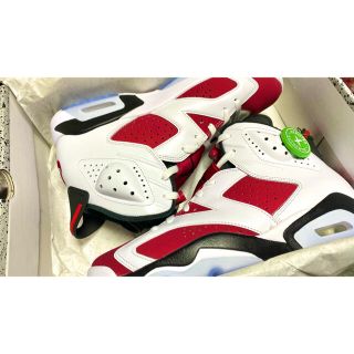 【新品未使用】NIKE AIR JORDAN 6 CARMINE 28㎝　大人気