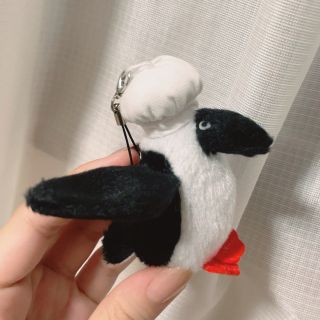 チャムス(CHUMS)の𓊆  瞳1009様専用 非売品 CHUMS カツオドリストラップ 𓅰 𓊇 (ぬいぐるみ)