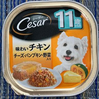 シーザー(CASAR)のシーザー　11歳〜　味わいチキン　チーズ・パンプキン・野菜入り(ペットフード)