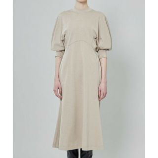 マメ(mame)のmame kurogouchi Classic Cotton Dress(ロングワンピース/マキシワンピース)