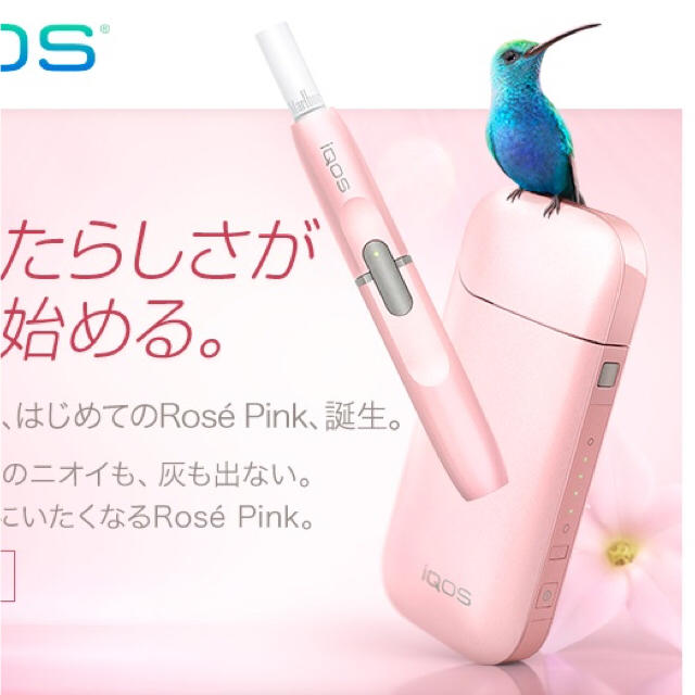 最終値下げ tomifum様専用ページ IQOS ローズピンク 本体 アイコス