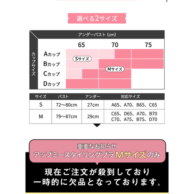 GYDA(ジェイダ)のアップミースタイリングブラMサイズ レディースのレディース その他(その他)の商品写真