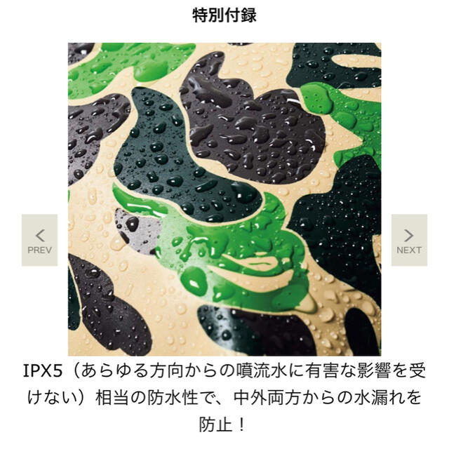 A BATHING APE(アベイシングエイプ)のsmart ８月号 付録 メンズのバッグ(その他)の商品写真