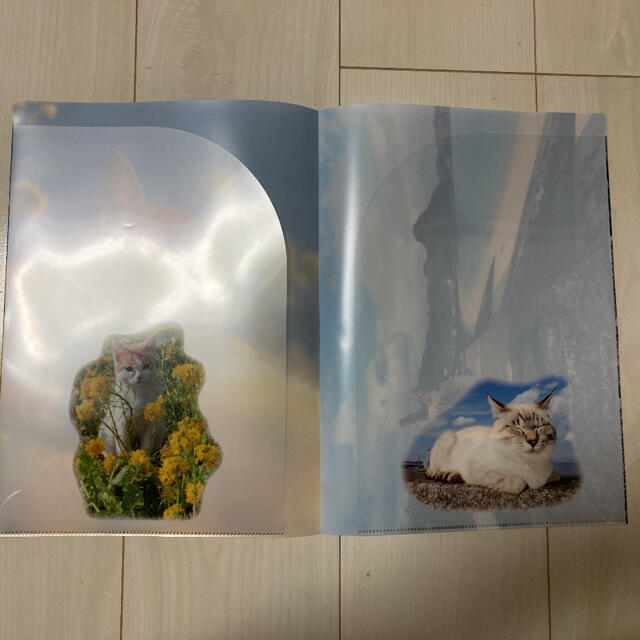 猫ファイルセット（3枚） エンタメ/ホビーのアニメグッズ(クリアファイル)の商品写真