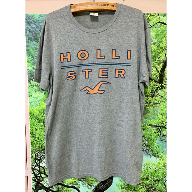 Hollister(ホリスター)のホリスター　S グレー　ロゴTシャツ　半袖 メンズのトップス(Tシャツ/カットソー(半袖/袖なし))の商品写真