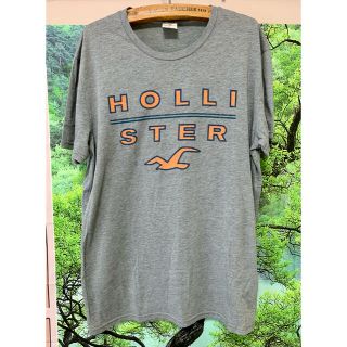 ホリスター(Hollister)のホリスター　S グレー　ロゴTシャツ　半袖(Tシャツ/カットソー(半袖/袖なし))