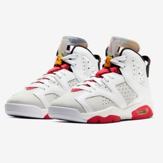 ナイキ(NIKE)のNIKE AirJORDAN6 NeutralGrey 22.5(スニーカー)