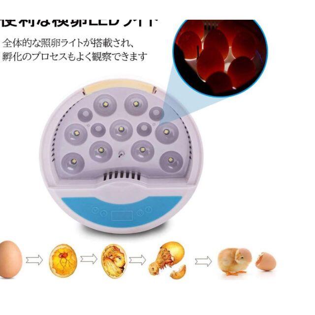 自動孵卵器 インキュベーター 1