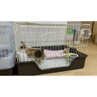 GEX ラビんぐ　フラットフロア70、うさぎサークル、プラス1500円セット(小動物)