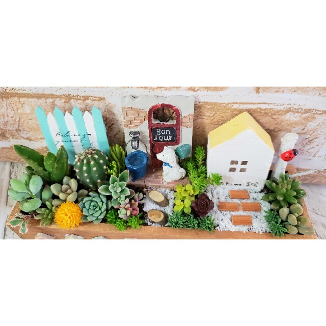 多肉植物の寄せ植え⭐そのまま飾れる⭐箱庭 ハンドメイドのフラワー/ガーデン(その他)の商品写真