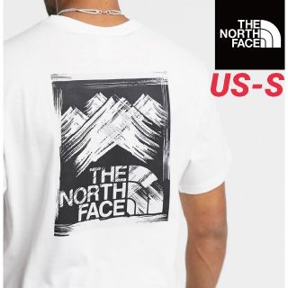 ザノースフェイス(THE NORTH FACE)のノースフェイス 海外限定 Tシャツ 日本Mサイズ相当(Tシャツ/カットソー(半袖/袖なし))