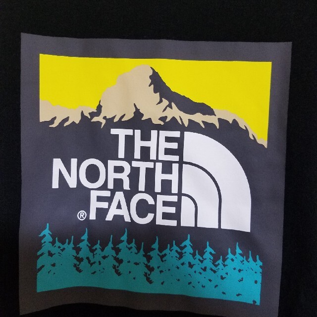 THE NORTH FACE(ザノースフェイス)のTHE NORTH FACE　新品未使用　Tシャツ レディースのトップス(Tシャツ(半袖/袖なし))の商品写真