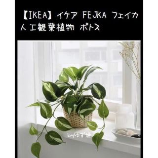 イケア(IKEA)の【IKEA】イケア FEJKA フェイカ 人工観葉植物 ポトス(置物)