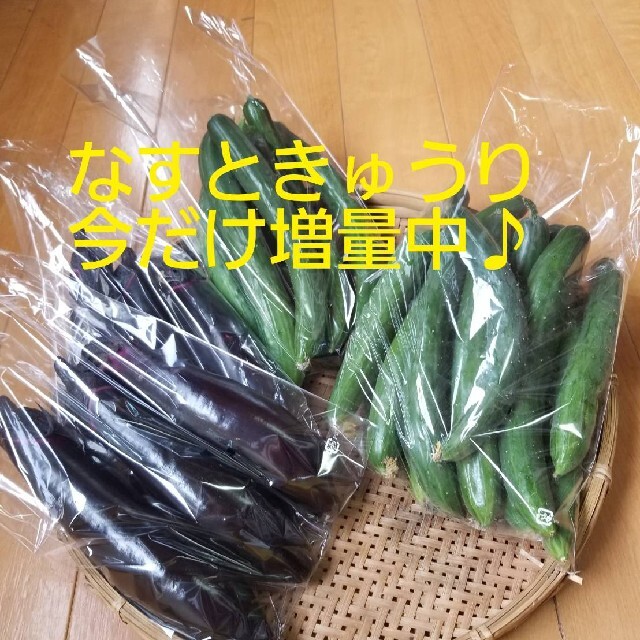 無農薬野菜詰め合わせ 食品/飲料/酒の食品(野菜)の商品写真