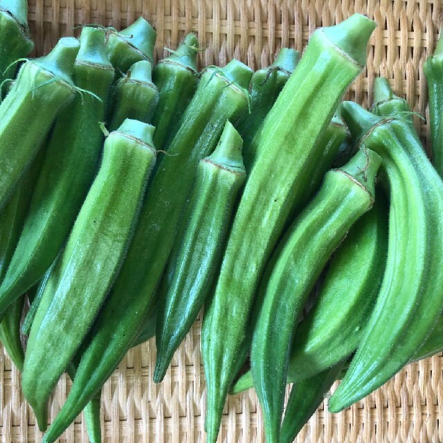 無農薬野菜詰め合わせ 食品/飲料/酒の食品(野菜)の商品写真