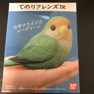 バンダイ(BANDAI)のてのりフレンズ1R:コザクラインコシーグリーン(その他)