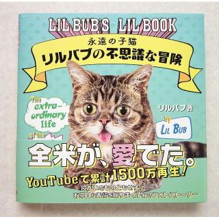 永遠の子猫　リルバブの不思議な冒険　写真絵本(絵本/児童書)