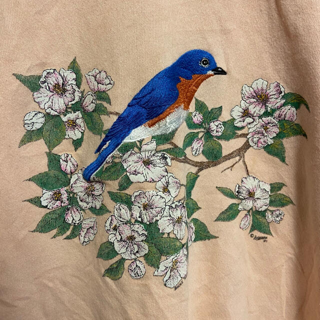 Hanes(ヘインズ)の刺繍 アメリカ製 スウェット 襟付き アニマル 鳥 小鳥 ピンク ヘインズ XL メンズのトップス(スウェット)の商品写真
