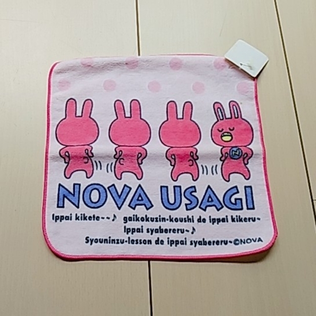 NOVA USAGI うさぎ ミニタオル ピンク エンタメ/ホビーのおもちゃ/ぬいぐるみ(キャラクターグッズ)の商品写真