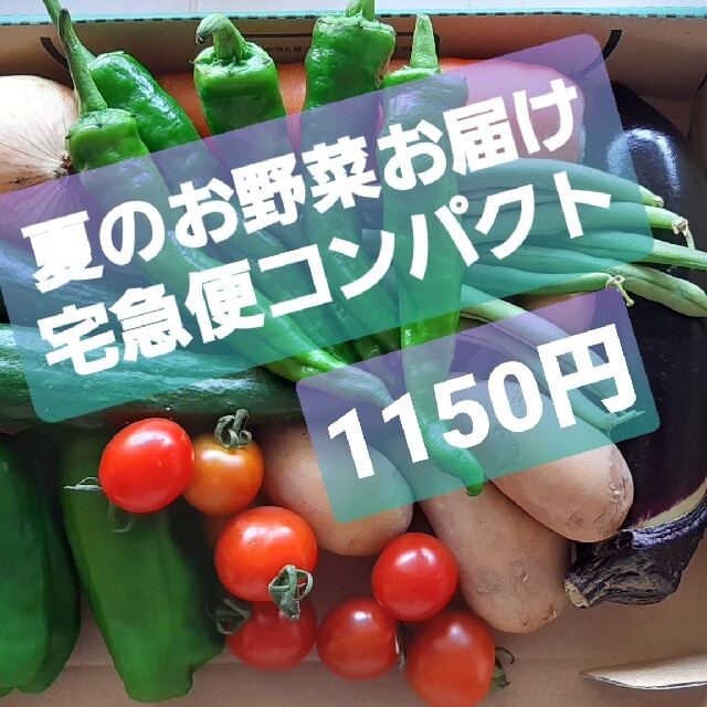 夏のお野菜のお届けお任せ。宅急便コンパクト。翌日配送地域のみm(_ _)m。 食品/飲料/酒の食品(野菜)の商品写真