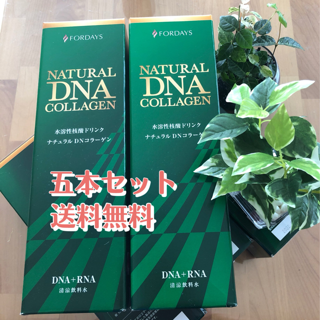 5本セット　ナチュラルDNコラーゲン　核酸ドリンク食品/飲料/酒