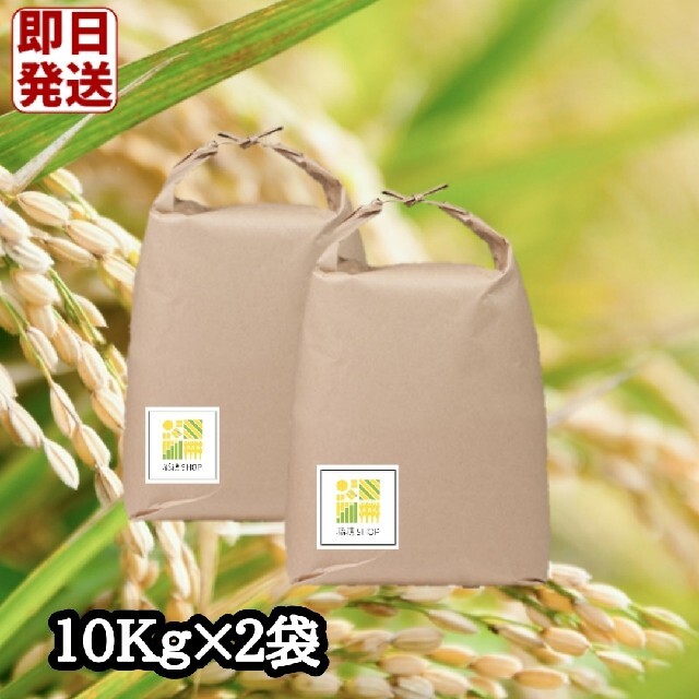 【スピード発送】特A　さがびより　白米20Kg　米 食品/飲料/酒の食品(米/穀物)の商品写真